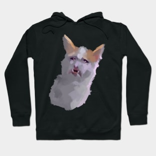 Funny depressed crying cat meme Hoodie